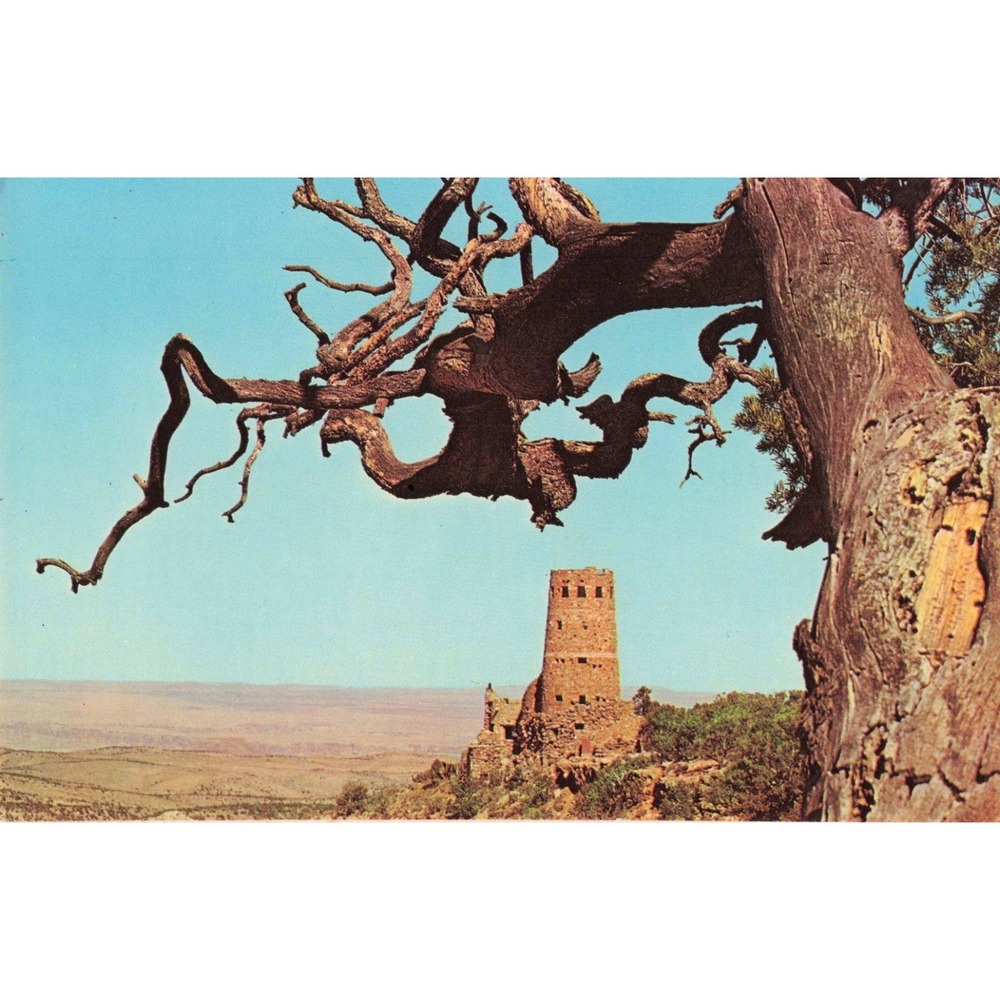 Vintage Desert View Watchtower Grand Canyon Arizona Postcard Plastichrome P39111 - Picture 1 of 2